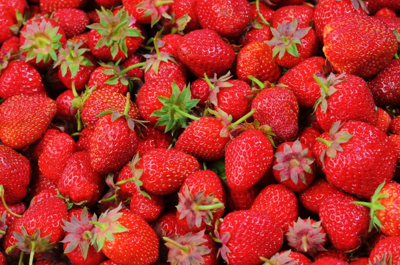 primeur-RAYOL CANADEL SUR MER-min_strawberries-528791